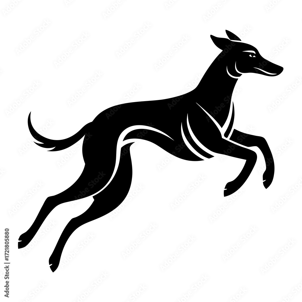 Fototapeta premium silhouette of a dog