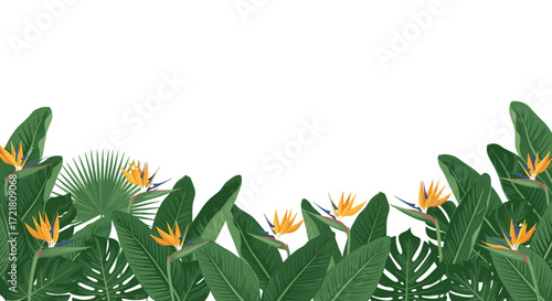 A beautiful collection of vibrant tropical plants and exotic bird of paradise flowers.
