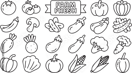 Vector art of farm fresh vegetables for healthy eating concept