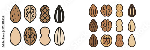 Various types of nuts arranged in a pattern showcasing their diverse shapes and textures in a simple layout