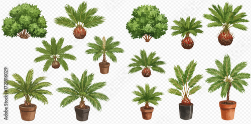 A diverse collection of illustrated potted palm-like plants and lush green bushes in various sizes and shapes.