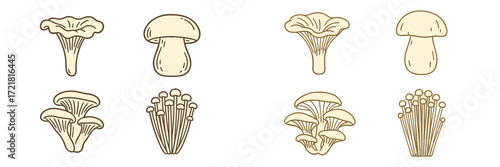 Different types of mushrooms displayed in a simple design format, showcasing their unique shapes and features for educational purposes