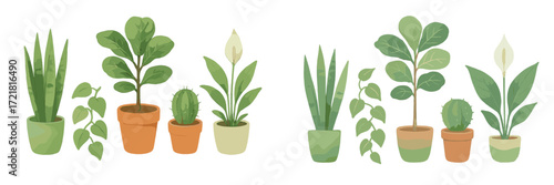 Various indoor plants arranged in pots create a fresh and lively atmosphere