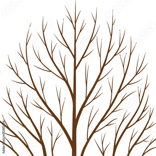 Leafless Tree Silhouettes Collection – Bare Trees with Roots Vector Illustration Set