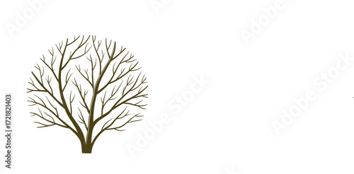 Leafless Tree Silhouettes Collection – Bare Trees with Roots Vector Illustration Set
