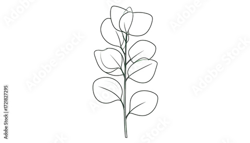 Simple white outline of eucalyptus leaves on a dark background