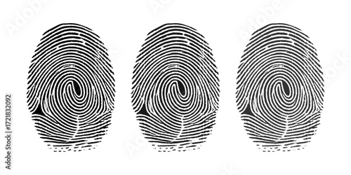 A black and white fingerprint vector illustration with a unique pattern of lines, a personal identification mark used in forensic and biometric security. detective, imprint, ink, police, id