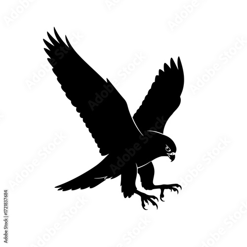 Silhouette of a hawk in flight with wings spread