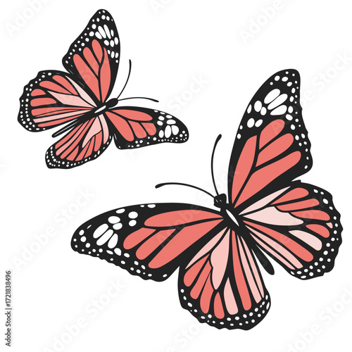 A colorful monarch butterfly with orange and black wings flies among spring flowers in a garden