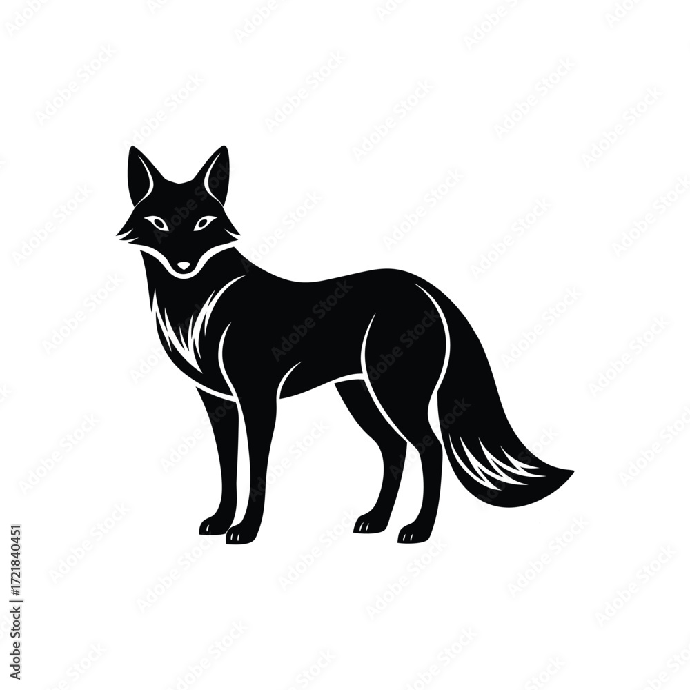 Fototapeta premium Adobe Illustrator Artwork