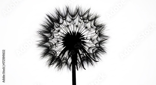 Wallpaper Mural Schwebender Loewezahn kraftvolle Silhouette sanftes Licht. AI Generated Torontodigital.ca