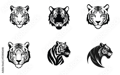 Vectorized tiger for commercial print, sketch, drawing and decoration.