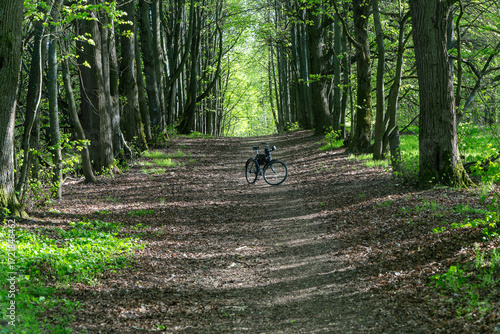 Vintage bicycle in a wide forest landscape with trees and natural light. Old style bicycle resting on a sunlit woodland path symbolizing outdoor adventure and eco friendly travel.