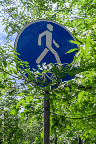 Blue pedestrian path sign partially covered by green leaves in park setting. Eco friendly urban mobility concept with pedestrian sign blending into nature ideal for outdoor lifestyle themes.