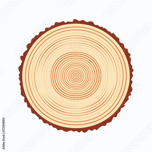 Artistic illustration of a tree cross section, showcasing growth rings in natural detail