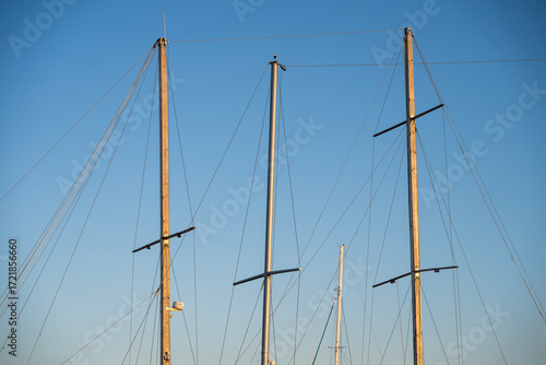 Canvas Print Tall sailboat masts rise against a clear blue sky, their rigging lines forming a graceful pattern of vertical symmetry