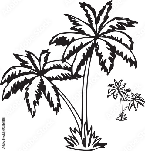 palm tree silhouette