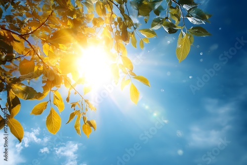 Vibrant sun shines through leaves against a beautiful blue sky, evokes warmth and nature's beauty, ideal for summer promotions and outdoor campaigns