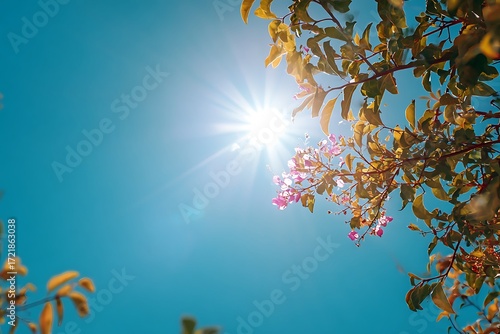 Bask in blissful summer vibes with sun-kissed blossoms against a vibrant blue sky, perfect for conveying warmth and natural beauty