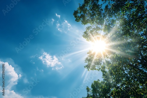Bask in the warmth of the sun filtering through the trees, creating a stunning scene for summer vibes and outdoor adventures with blue skies