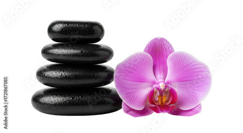 Zen stones and orchid isolated on transparent background