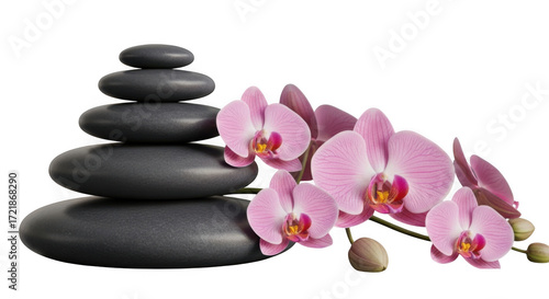 Zen stone stack with pink orchid isolated on transparent background