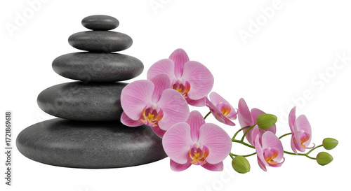 Zen stones and orchid isolated on transparent background