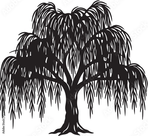 Black silhouette of a weeping willow tree with flowing branches on a white background