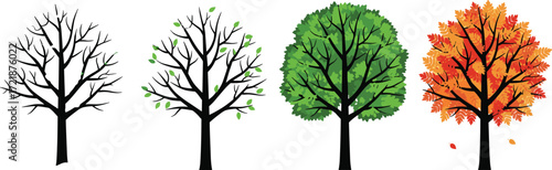 Four season tree illustration, nature cycle graphic, seasonal tree design, spring summer autumn winter, deciduous tree art, botanical vector