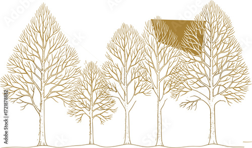 Leafless tree geometry illustration, trigonometry concept art, tree height measurement, mathematical triangle overlay, nature and math fusion, educational graphic