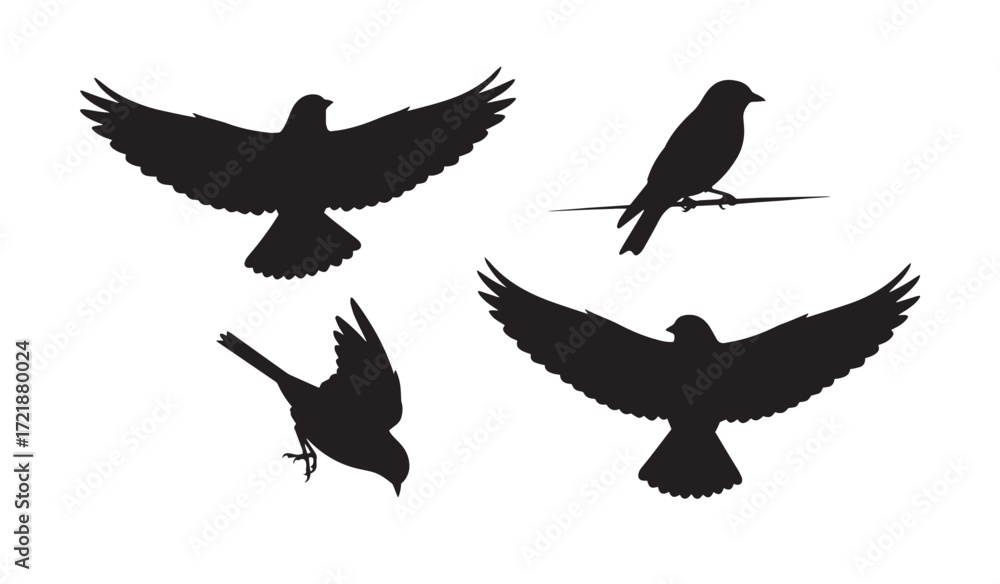 Obraz premium Bird Silhouette Vector Set