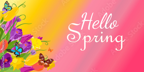 Beautiful nature scene. Spring banner with bright tulips, daffodils, flying butterflies and the words Hello Spring.