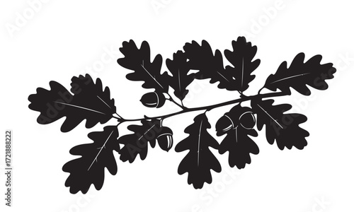 Silhouette of Oak Branch with Leaves and Acorns