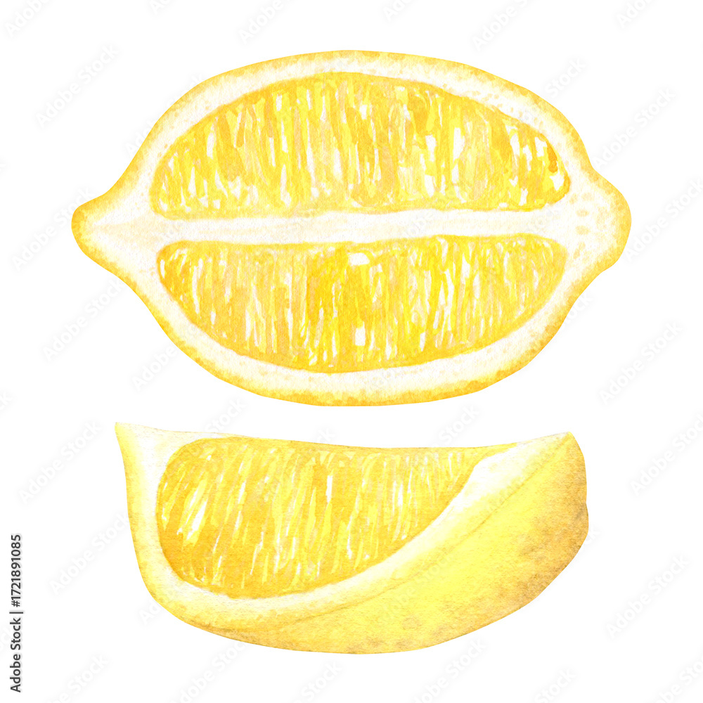 custom made wallpaper toronto digitalLemon halves, set of watercolor illustration of a tropical fruit. Hand drawn isolated on a white background. Suitable for the design of menus, packaging, cosmetics, cards.