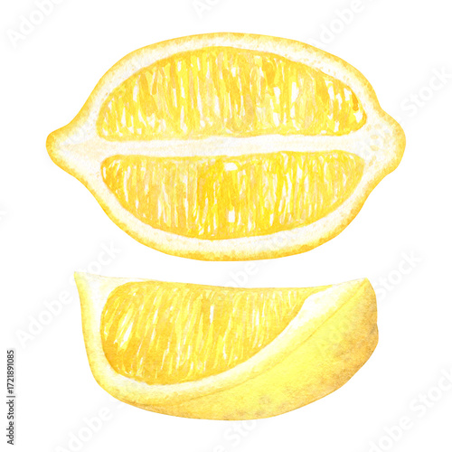 Wallpaper Mural Lemon halves, set of watercolor illustration of a tropical fruit. Hand drawn isolated on a white background. Suitable for the design of menus, packaging, cosmetics, cards. Torontodigital.ca