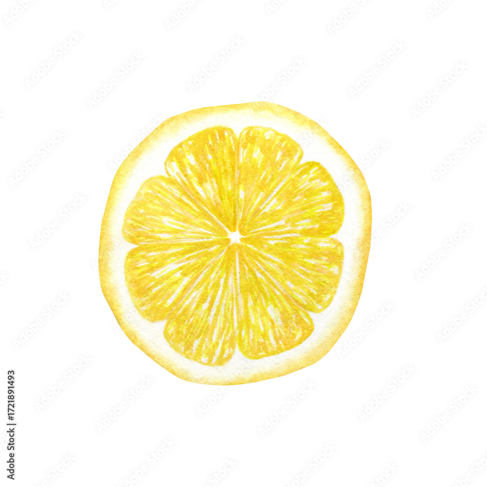 custom made wallpaper toronto digitalLemon slice, tropical fruit, half of a juicy lemon. Hand-drawn in watercolor isolated on a white background. Suitable for the design of menus, cosmetics, packaging, postcards.