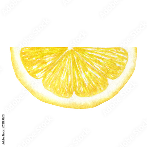 Wallpaper Mural Lemon slice, tropical fruit, half of a juicy lemon. Hand-drawn in watercolor isolated on a white background. Suitable for the design of menus, cosmetics, packaging, postcards. Torontodigital.ca
