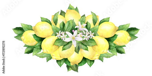 Wallpaper Mural Beautiful composition of lemon flowers and leaves, watercolor illustration drawn by hand isolated on a white background. Suitable for the design of menus, packaging, cards, congratulations. Torontodigital.ca