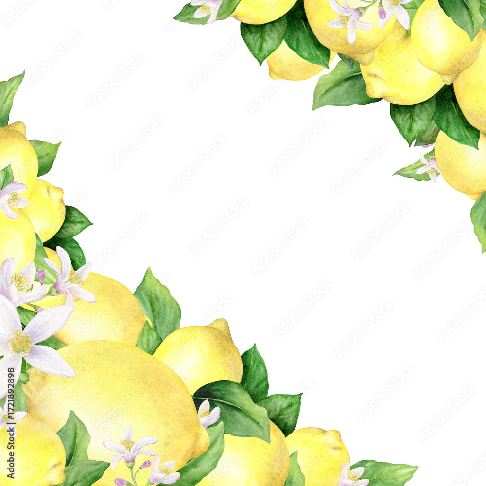 custom made wallpaper toronto digitalWatercolor painted yellow lemons green leaves and lemon flowers isolated on a white background.Frame of juicy tropical fruits. Corner page template.