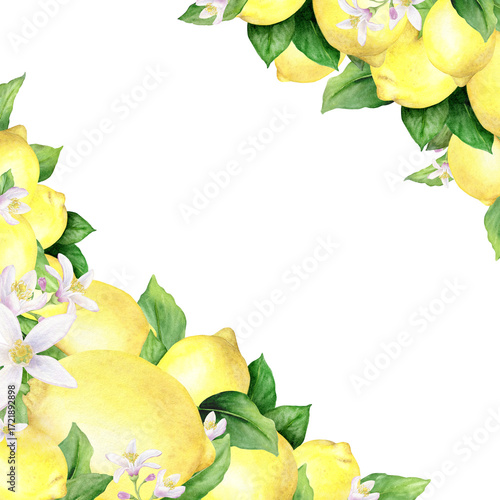 Wallpaper Mural Watercolor painted yellow lemons green leaves and lemon flowers isolated on a white background.Frame of juicy tropical fruits. Corner page template. Torontodigital.ca