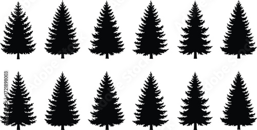 Pine tree silhouette grid, forest pattern illustration, black nature graphic, conifer shape repetition, landscape icon set, white background