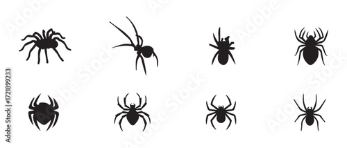 Set of spider icon, spider black silhouette vector, simple silhouette Design vector icon, Vector illustration EPS 10.