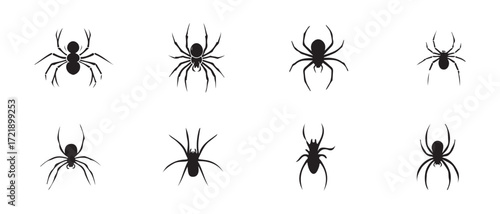 Simple Black and White Silhouette of a Spider, spider animal black silhouette icon, animals spider, Safaris, wildlife, rainforest, spider icon, vector illustration EPS 10.