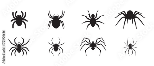 Set of spider icon, spider black silhouette vector, simple silhouette Design vector icon, Vector illustration EPS 10.