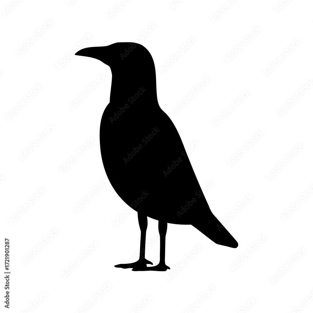 Fototapeta premium Silhouette of a standing bird, possibly a seagull or similar bird