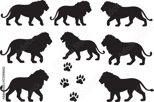 Lion silhouette vector set walking lion vector illustration african animal wildlife king of beasts design on trans