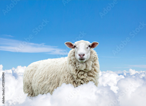 Oveja blanca entre nubes esponjosas con fondo azul que transmite calma pureza y ternura en una imagen surrealista y bucólica llena de ligereza serenidad frescura e inocencia en clave poética