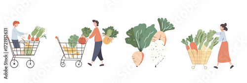 Flat minimalist illustration of people shopping fresh leafy green vegetables and root produce in shopping trolley and basket for local organic food market