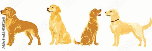 Set of four golden retriever dog silhouettes in various poses side view flat minimalist vector illustration of friendly pets with different shades of golden fur