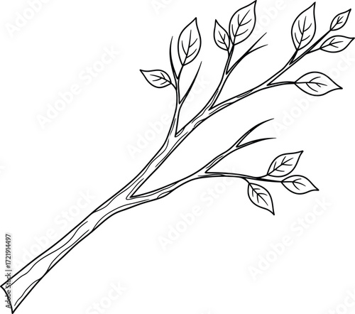 A simple black and white line drawing of a tree branch with several leaves sprouting from it.